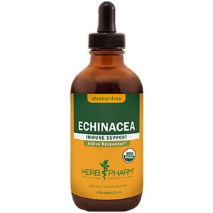 Echinacea/Echinacea purpurea Alcohol-Free - 4 oz by Herb Pharm