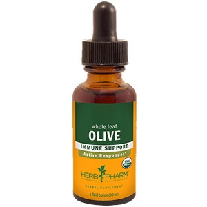Olive Leaf/Olea europaea - 1 oz by Herb Pharm