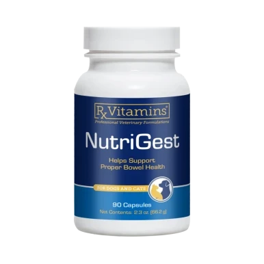 NutriGest for Dogs & Cats 90c by Rx Vitamins for Pets