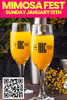 VIP Ticket - MIMOSA FEST @ The WC Social Club - 2023-01-15