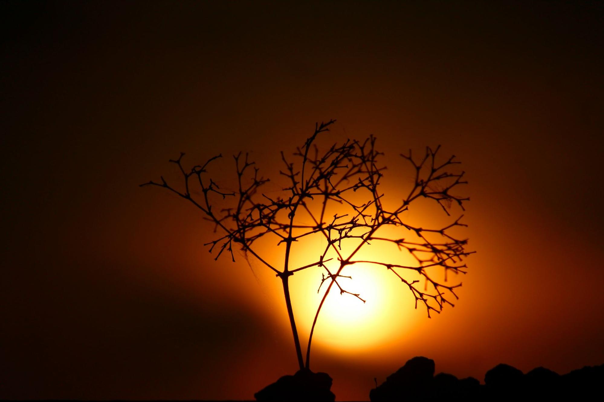 Do Gazebos Protect From the Sun? TFH Gazebos