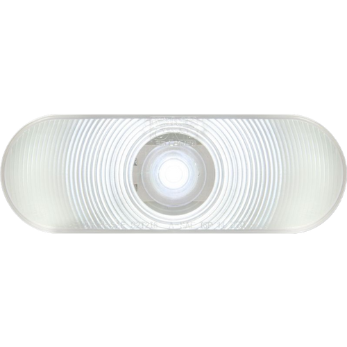 Led Back Up Lamp 6" Oval | BUL002CB (OPT)