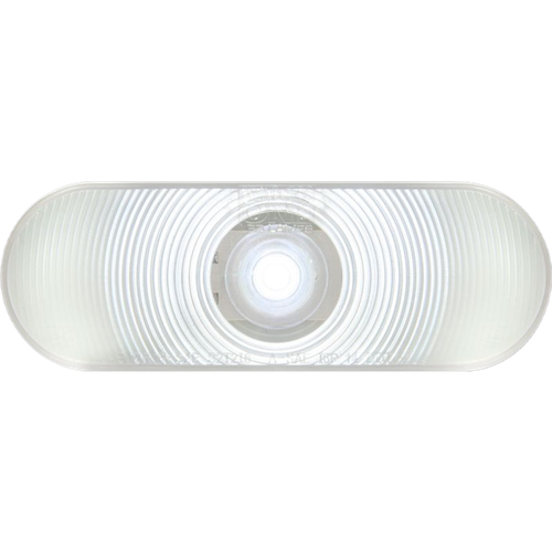 Led Back Up Lamp 6" Oval | BUL002CB (OPT)