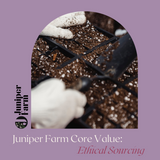 Juniper Core Values Blog Series: Ethical Sourcing