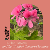 Edible Flowers and the World of Culinary Creations