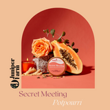 Secret Meeting Potpourri