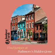Finding Juniper While Exploring Baltimore's Hidden Gems