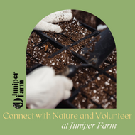Connect with Nature Through Juniper Farm's Volunteer Program