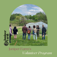 Juniper Volunteer Program