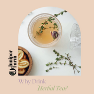 Why Drink Herbal Tea?