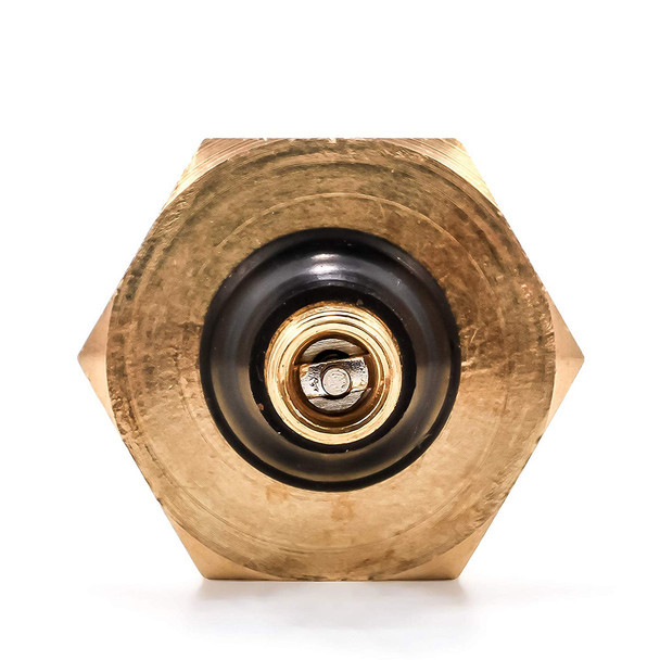 Camco 36153 RV Winterizing Brass Blow Out Plug w/ Shrader Valve