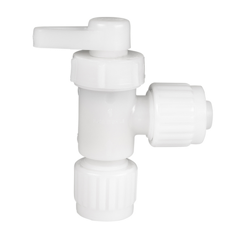 16884__50782.1704485723.500.