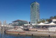 See Darling Harbour On A Water Taxi