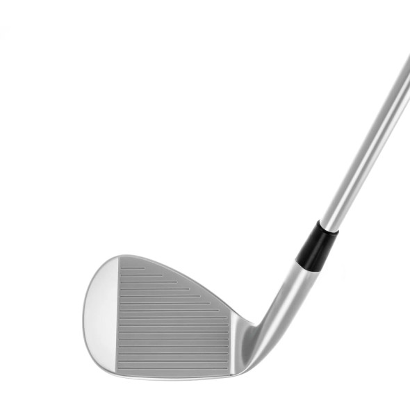 Proto Concept C05TP Forged Iron Heads