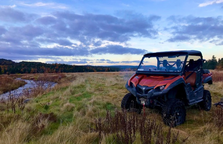 ​The Yamaha Viking: An Overview And Analysis