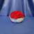  Red Rosett Coasters in Basket by Mumsie of Stratford.