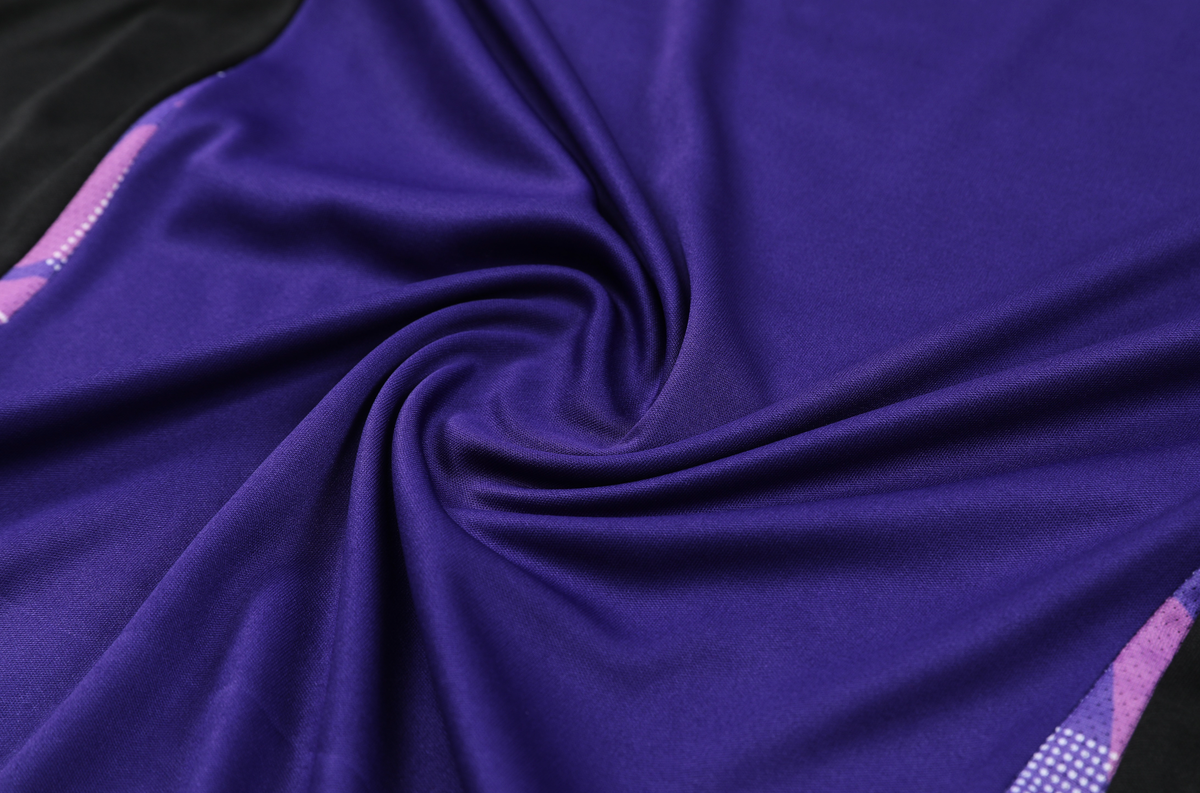 Germany 2024 Men's Purple Training Shirt