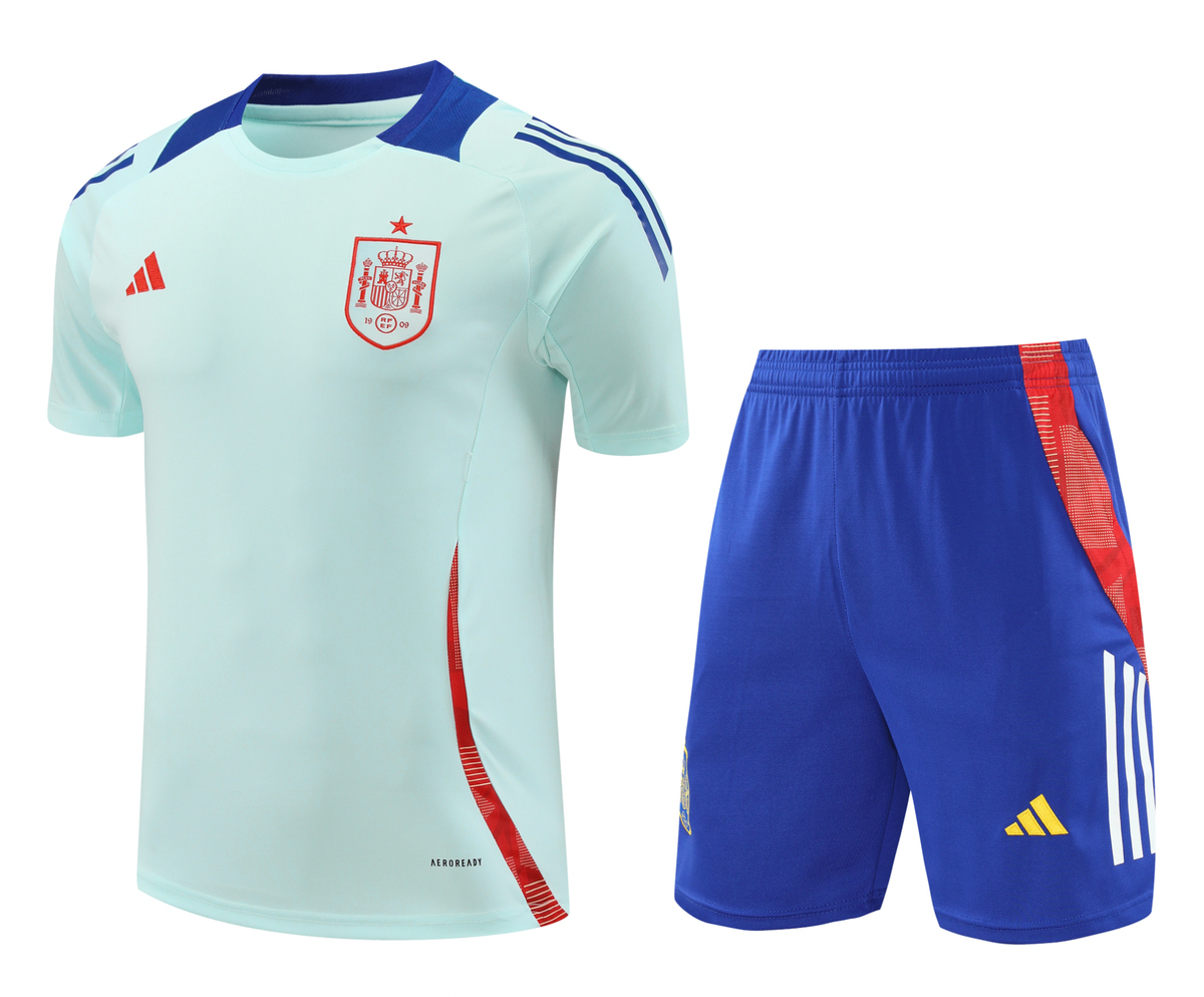 Spain 2024 Men's Light Blue Training Shirt