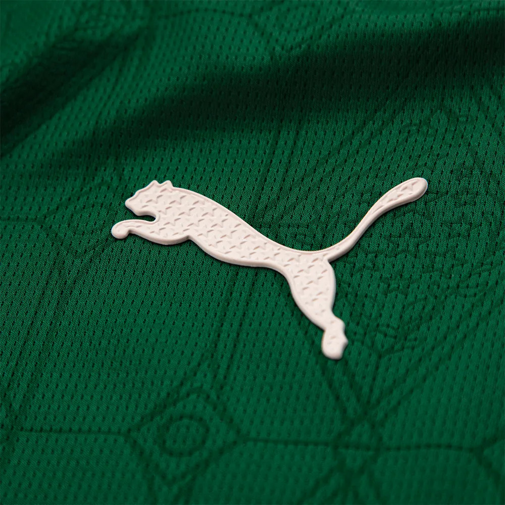 Palmeiras 25/26 Authentic Men's Home Shirt