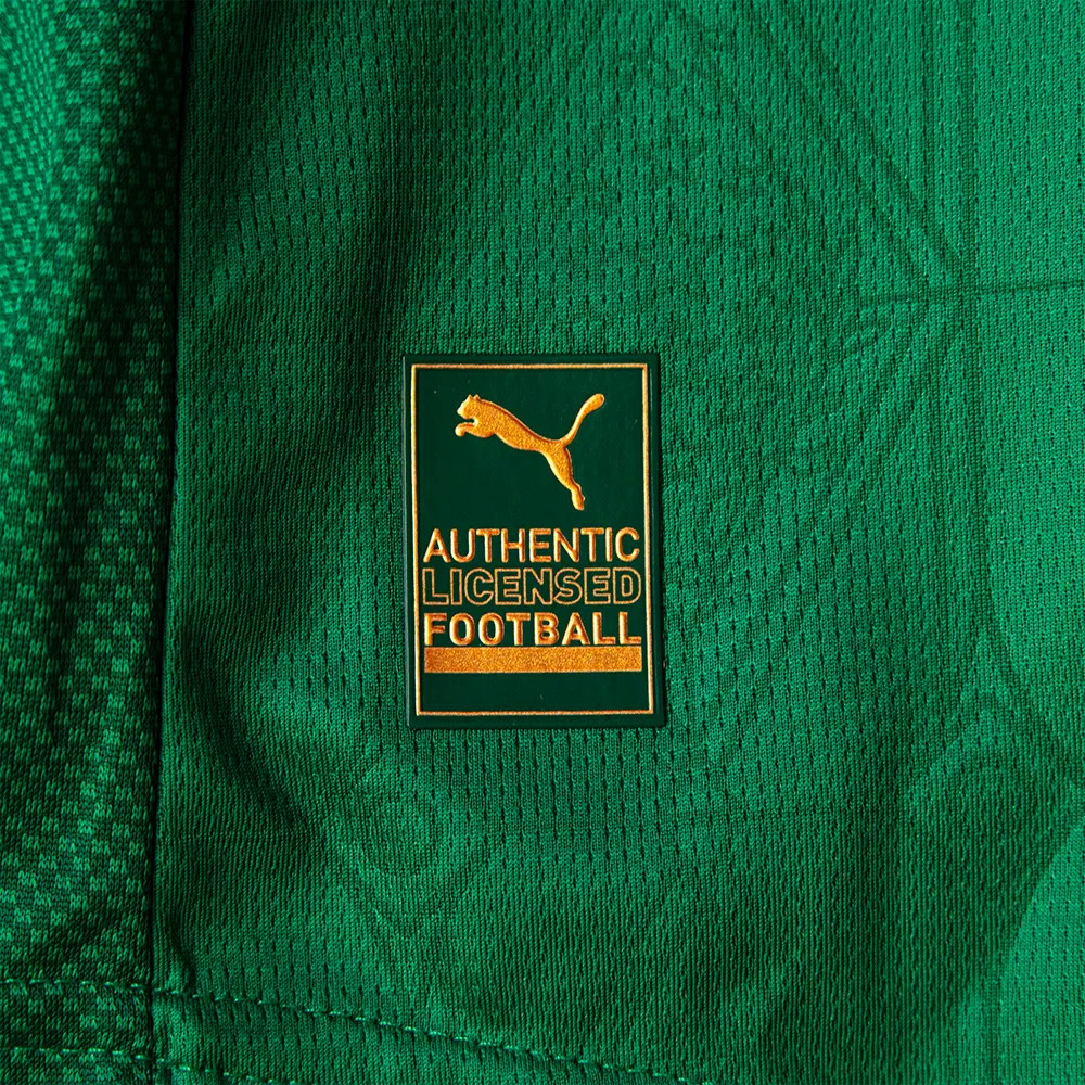 Palmeiras 25/26 Authentic Men's Home Shirt
