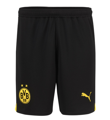 Borussia Dortmund 23/24 Authentic Men's Home Shirt