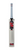 GM Radon Junior English Willow Cricket Bat 2024