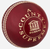 Readers County Supreme A Womens Cricket Ball