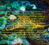 HEADWATERS TEA SACHETS WELLNESS