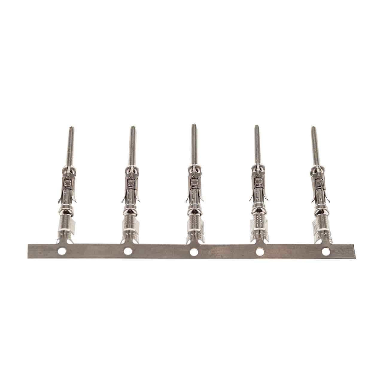 【CPC-L24】mochimochino様 miller-079535-circuit-