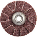 Norton 8834184019 1 in. Coated Specialties Pads & Slotted Discs, P80 Grit, 100 pack