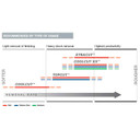 Walter 15A526 5"x5/8"-11 XTRACUT Quick-Change Sanding Discs, 60 Grit, Coarse, 25 pack