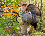 Where to Shoot a Turkey With a Bow