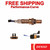 Denso Oxygen O2 Sensor - Direct Fit - 234-4019