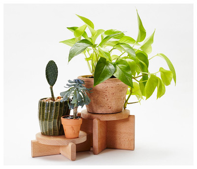 Plant Pedestal Set