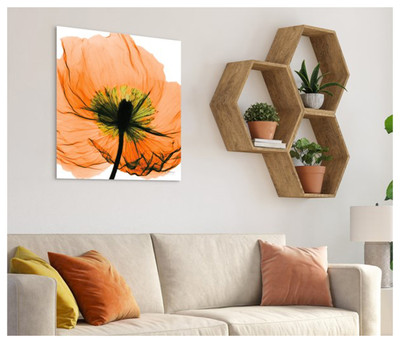 Poppy Wall Art