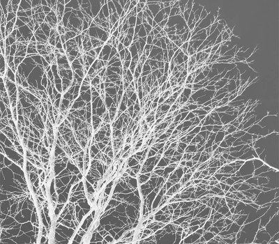 Clearance Element VII Wall Art