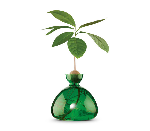 Avocado Vase-Emerald Green