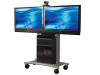 Avteq RPS-1000L ViewMount Series Steel Dual 65" Plasma/LCD