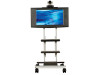 Avteq RPS-400 Supports Single 20" to 42" Plasma/LCD Screens