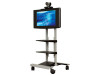 Avteq RPS-400 Supports Single 20" to 42" Plasma/LCD Screens