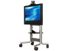Avteq RPS-500S Supports Single 37" to 65" Plasma/LCD Screens