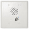 Viking E-60-WH-EWP Double Gang Entry Phone in White