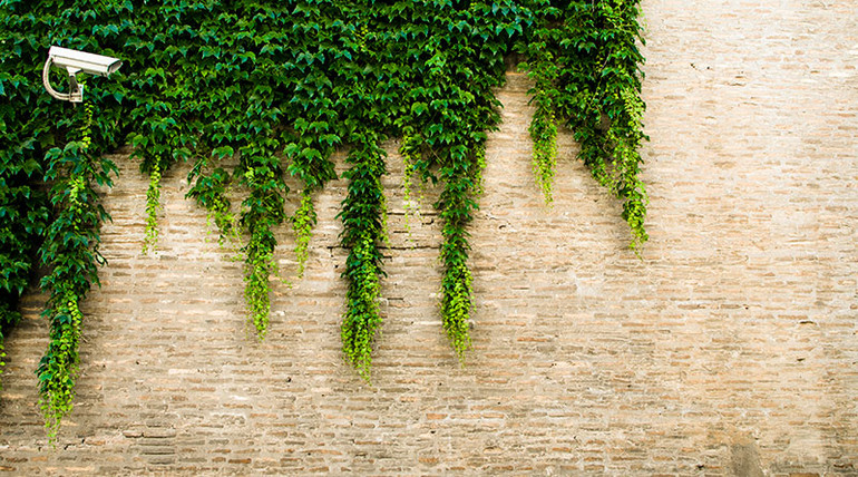 Focus Recall: The New Axis Q60 Series IP Cameras