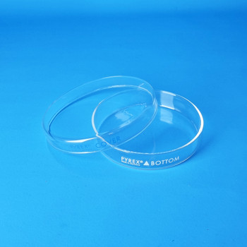 PYREX® Autoclavable Petri Dishes