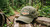 Tracker Week 2026 Hat