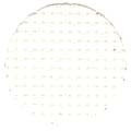 Antique White / 356101