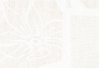 Antique White / 13561011