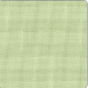 Mimosa Green / 37936083