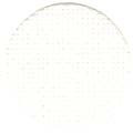 Antique White / 350101