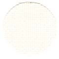 Ivory / 1008264